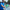 Blue Fiberglass /Carbon fiberPickleball Set with Case